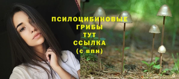 мяу мяу мука Бугульма