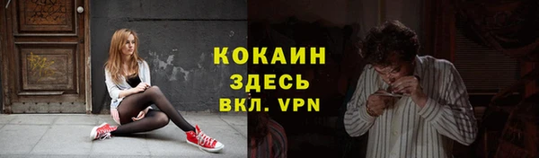дурь Бронницы