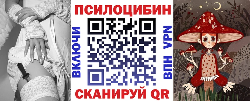 Галлюциногенные грибы Psilocybine cubensis Новороссийск